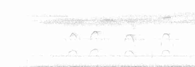 Australasian Grebe - ML233401