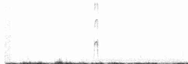 Striped Woodpecker - ML233402871