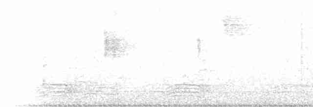 Avustralya Saksağanı [tibicen grubu] - ML233422