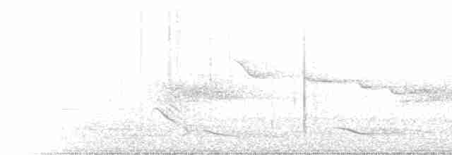 Avustralya Saksağanı [tibicen grubu] - ML233423