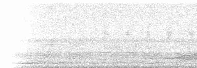 Échenilleur cigale (groupe tenuirostre) - ML233448