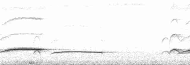 Fan-tailed Cuckoo - ML233469