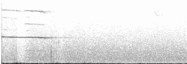 Ширококрылый канюк - ML233478101