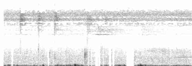 Great Tinamou - ML233489021