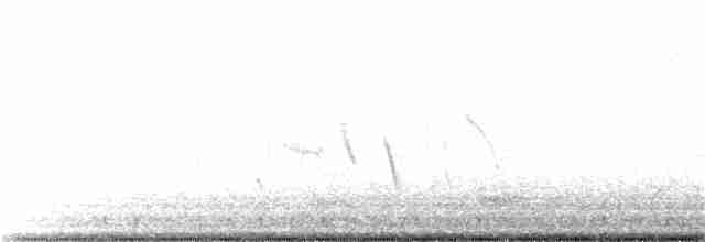 Wüstenspottdrossel - ML23349721
