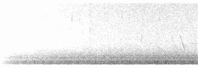 Wüstenspottdrossel - ML23349731