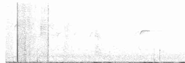 Исполинский колибри - ML233499121