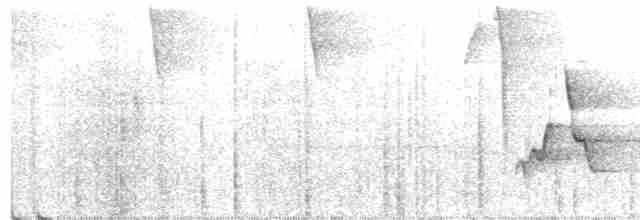Серогрудый дромник - ML233508281