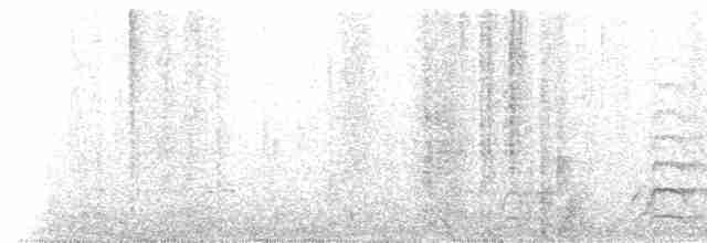 Noisy Friarbird - ML233514