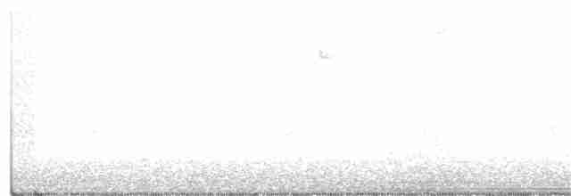 Yellow-billed Cuckoo - ML233521261