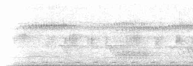 Sülün Kukalı [phasianinus grubu] - ML233567