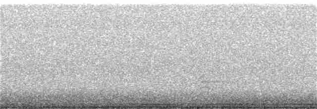 אנפית-גמדית אמריקנית - ML233569941