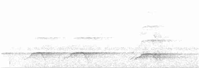 Бурая птица-носорог - ML233576061