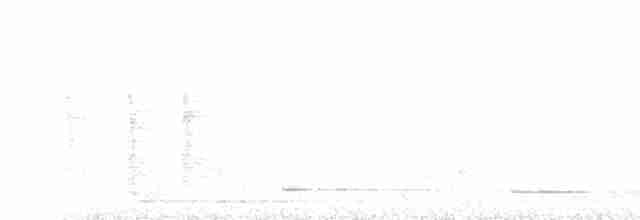 Glanzfleckdrongo - ML233609