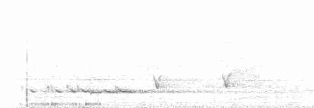 Glanzfleckdrongo - ML233612