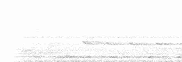 Glanzfleckdrongo - ML233614