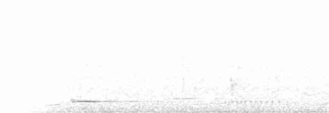 Glanzfleckdrongo - ML233618