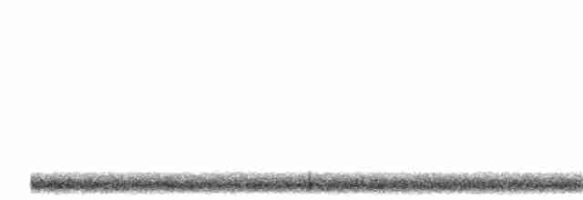 Сплюшка білогорла - ML233621091