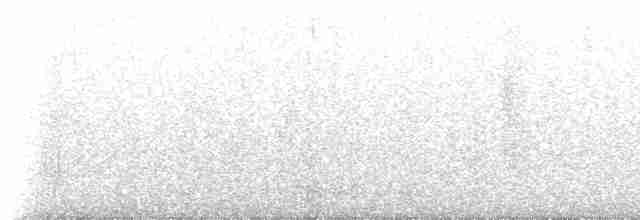 Çizgili Panterkuşu [melanocephalus grubu] - ML233629