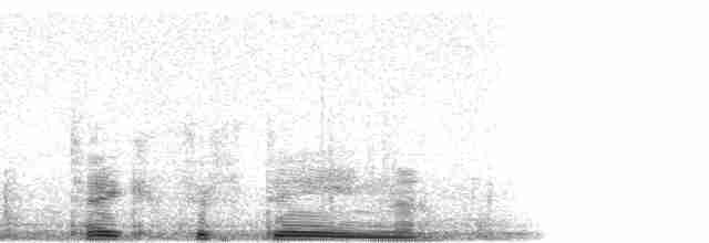 buřňák galapážský - ML23364