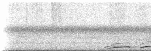 White-throated Nightjar - ML233672