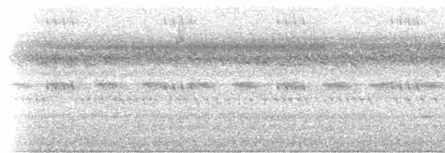 White-throated Nightjar - ML233673