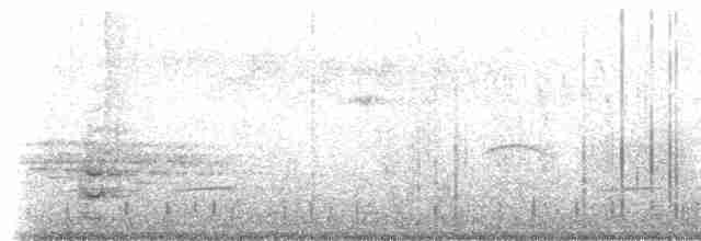 Torresian Crow - ML233694