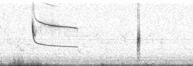 Al Kanatlı Karatavuk [phoeniceus grubu] - ML23376