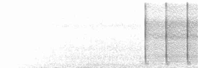 Gonolek des papyrus - ML233776461