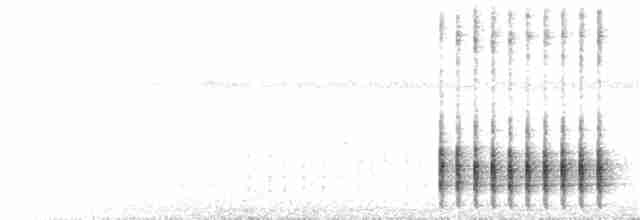 Папирусовый гонолек - ML233776481