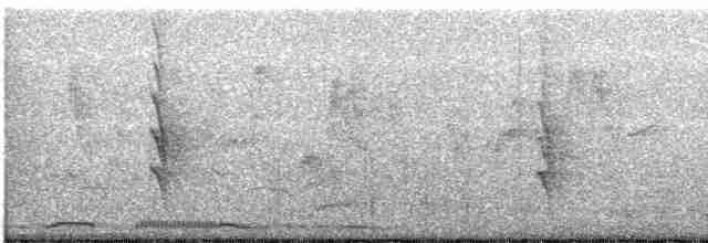 Bulbul noir (groupe leucocephalus) - ML233777801