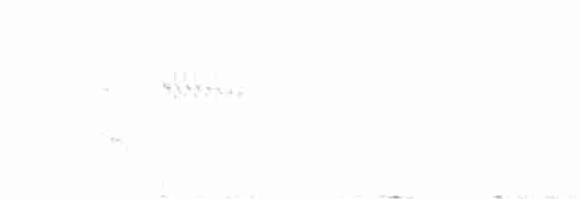 Western Orphean Warbler - ML233810621