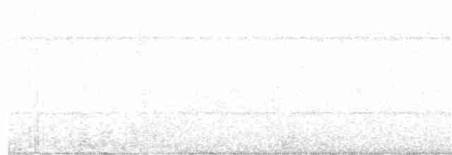 Kara Gerdanlı Çıtkuşu - ML233837321
