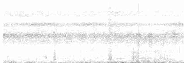 Аспидногрудый скрытохвост - ML233838141