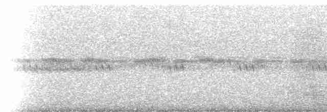 Australian Owlet-nightjar - ML233840