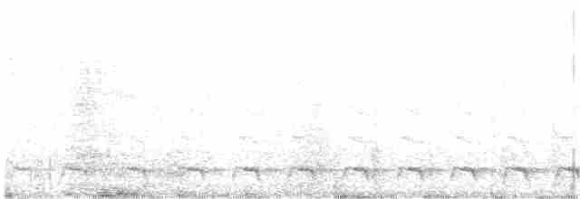 Желтобрюхий трогон - ML233841061