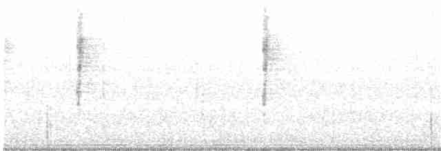 Черногорлая хвойница - ML233849891