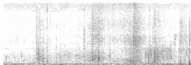 Loggerhead Shrike - ML233860141