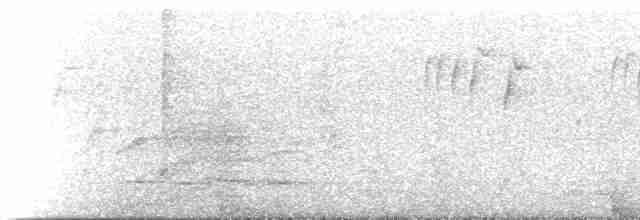 Буроголовый траурный какаду - ML233865