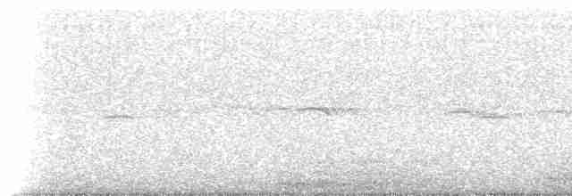 Australian Owlet-nightjar - ML233867