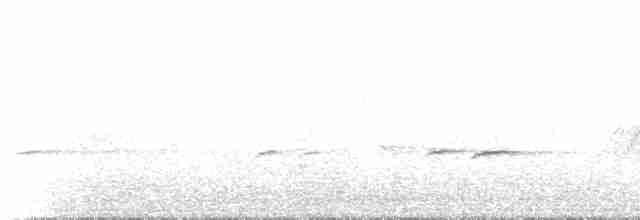 Speckled Warbler - ML233891