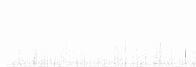 Белопоясничный канюк - ML233952101