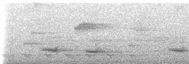 Channel-billed Toucan (Ariel) - ML234003