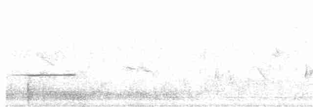 Аравийский жаворонок - ML234138741