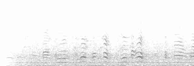 Noisy Friarbird - ML234175