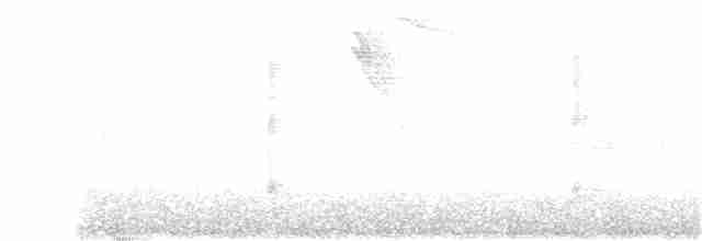 Kestane Taçlı Kotinga - ML234196091