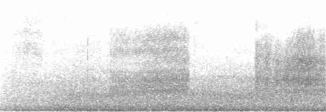 Sinsonte Norteño - ML234216251