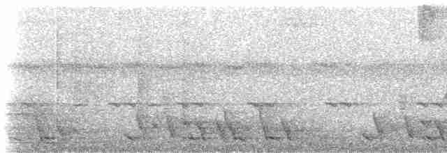 Güneyli Kestanerengi Karıncakuşu - ML234473