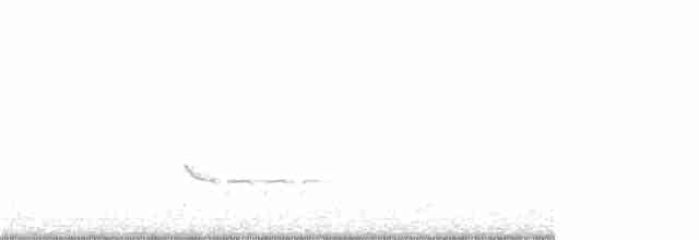 Common Redshank - ML234484631