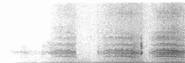 gråskrike (canadensis gr.) - ML234506611